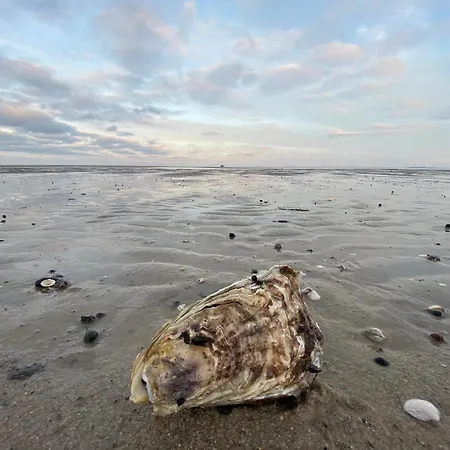 Im Haus Nordland Nordland, App118 Hund Westerland